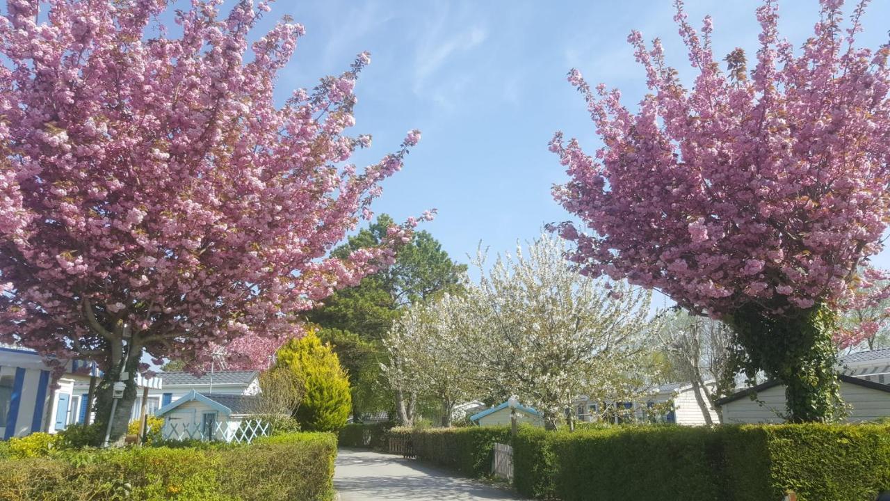 Camping Caravaning Les Cerisiers Berck Sur Mer Verton エクステリア 写真